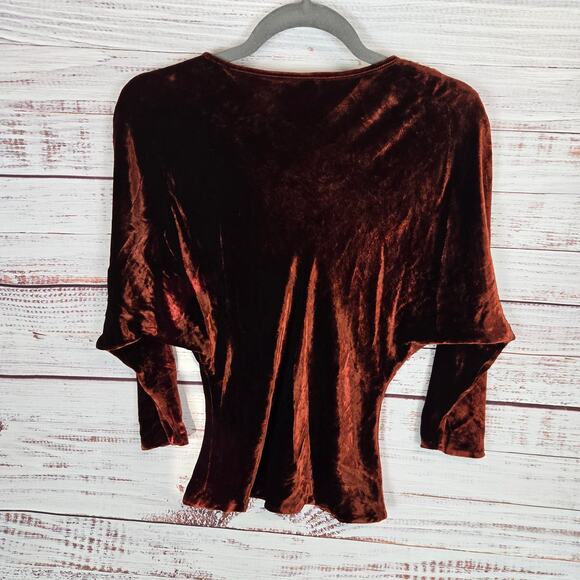 A.L.C. Miller Crushed Velvet Cowl Neck Top Sz 0 Soft Cognac Brown Dolman Sleeve - Picture 2 of 9
